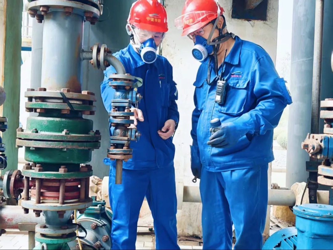 1755309167473107.png 2.webp.png