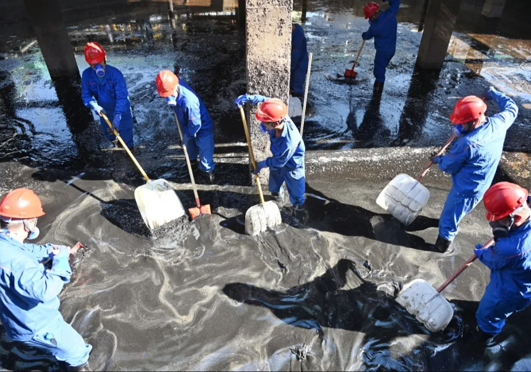 1755312877221306.png 8.webp.png