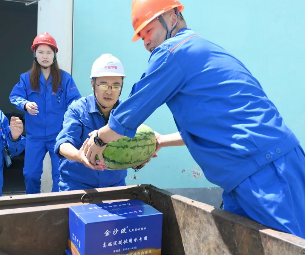 1755312897217270.png 9.webp.png