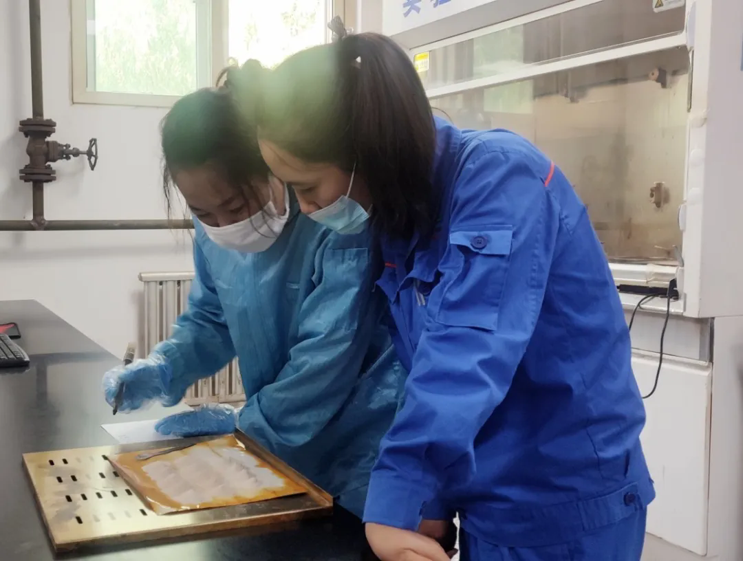 1755313435574777.png 3..webp.png