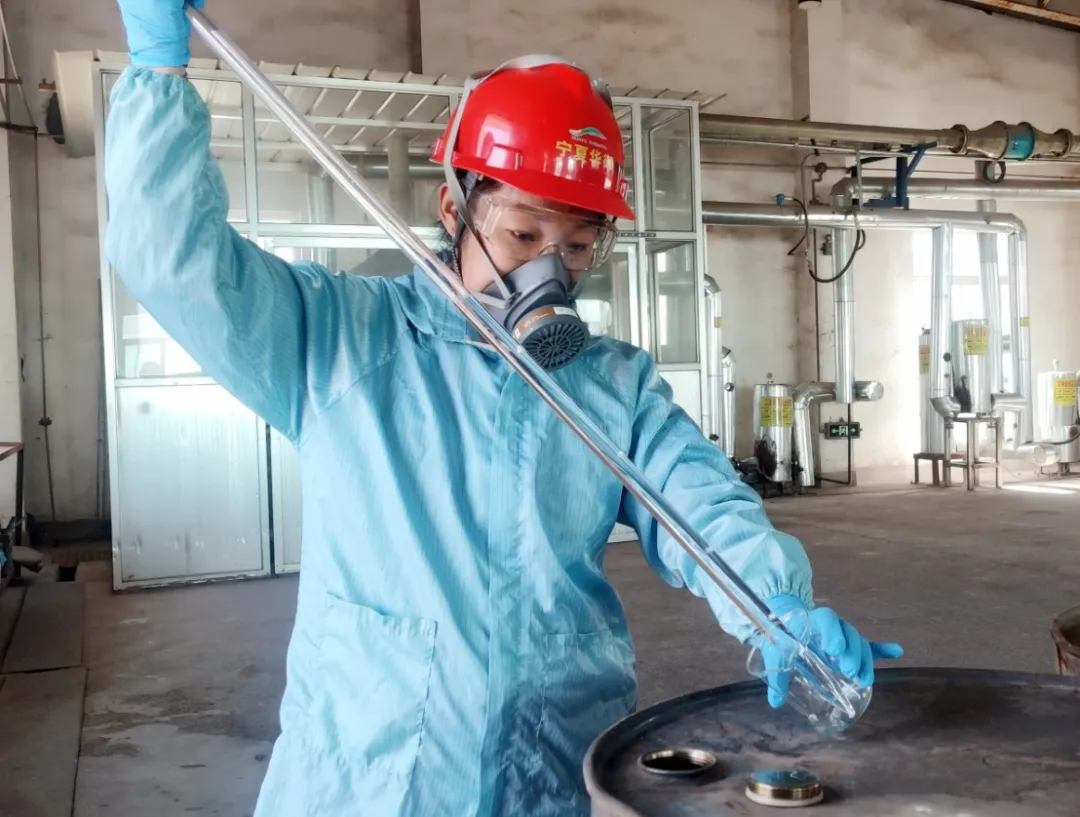 1755313461547171.png 4.webp.png