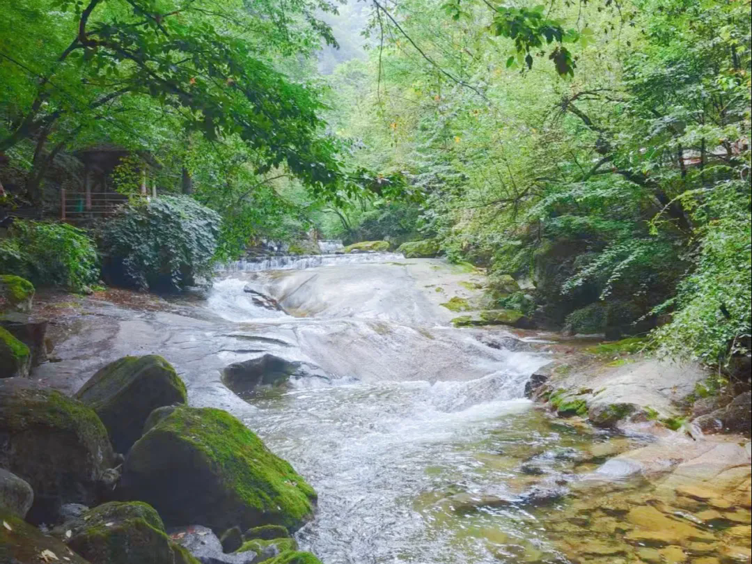 1756351874162479.png 3..webp.png