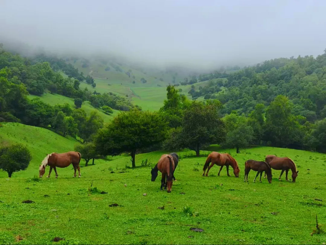 1756351956159798.png 6.webp.png