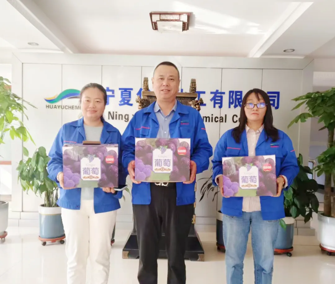 1759219054135949.png 2.webp.png